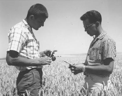 A Certification inspector talking with a grower in a grain field